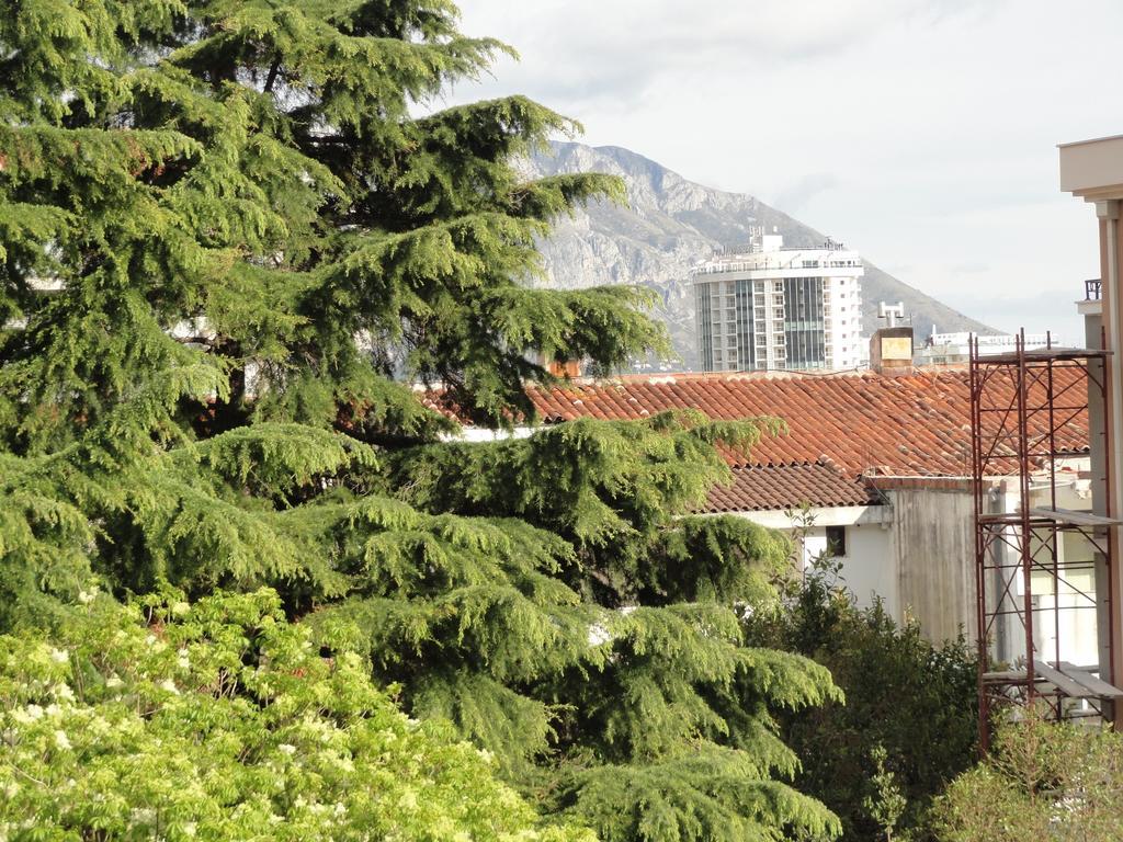 Apartment Pribilovic *