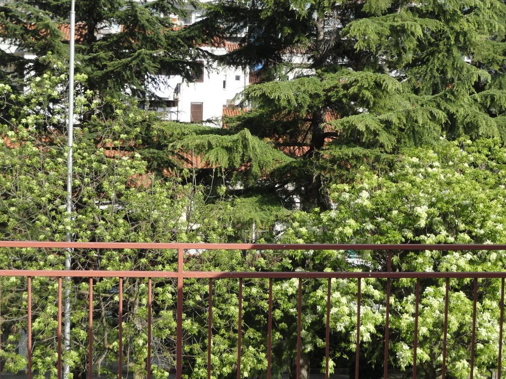 Apartment Pribilovic *